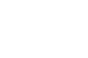 NEW IEDC_Vertical_Logo_White-01-2